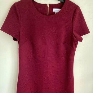 Calvin Klein Sheath Dress, Short Sleeve w/ Gold Zipper, Textured Fabric